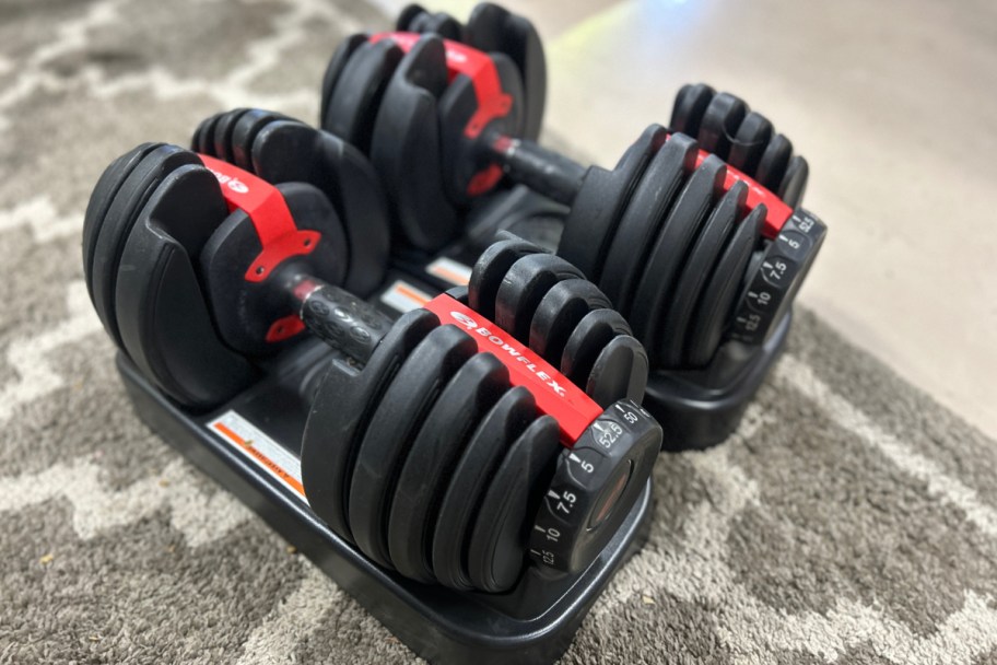 two adjustable dumbbells