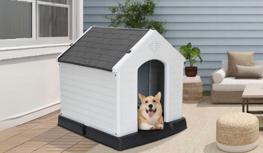 a small tan dog in a white plastic dog house with a gray roof, sitting on a patio