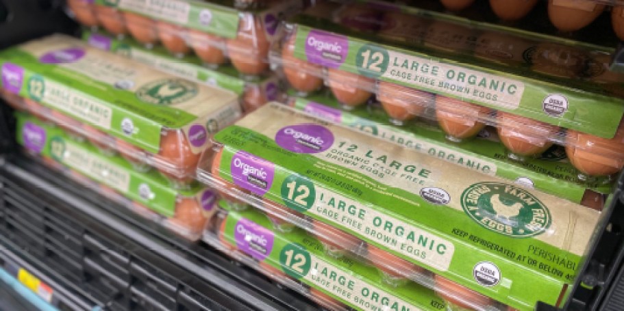 Nearly 20 Million Eggs Recalled Due to Salmonella – Check Your Fridge!