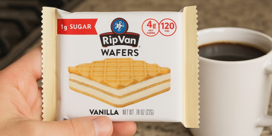 Rip Van Wafers Cookies 16-Pack Just $10.73 Shipped w/ Amazon Prime | Low Sugar & Low Carb
