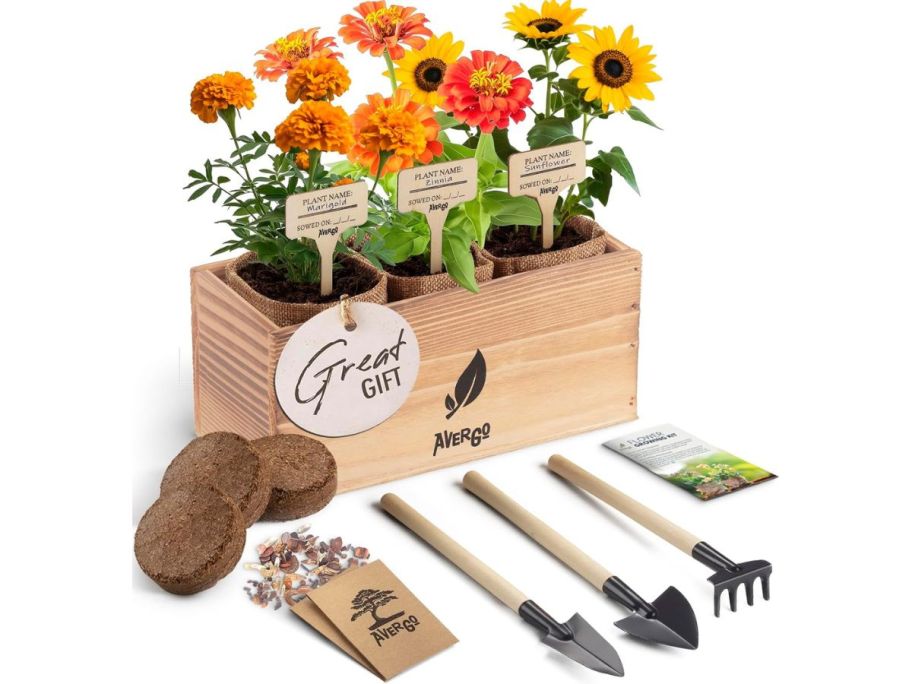 Sunflower, Marigold, & Zinnia Flower Seeds Growing Kit with accessories