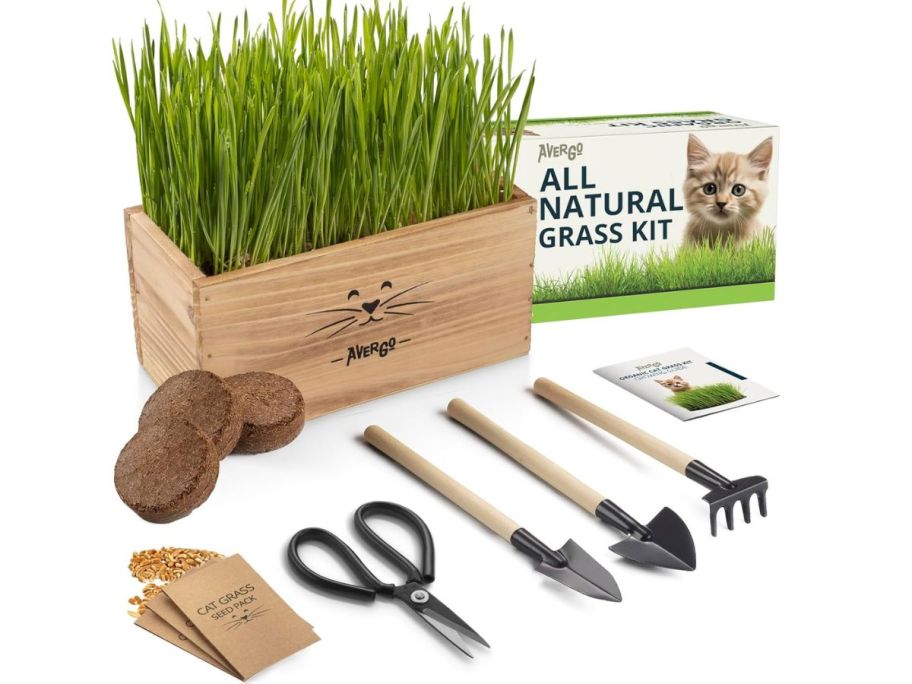 Cat Grass Kit with accessories