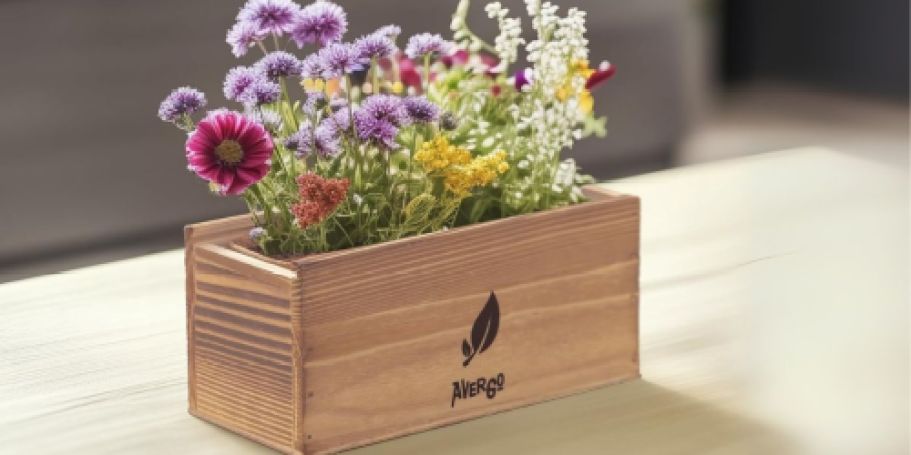 Seed Growing Kits AND Gardening Tools from $15.99 on Amazon