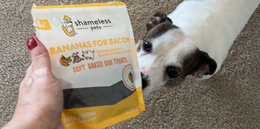 Shameless Pets Dog Treats Only $2.39 Shipped on Amazon (Reg. $6)