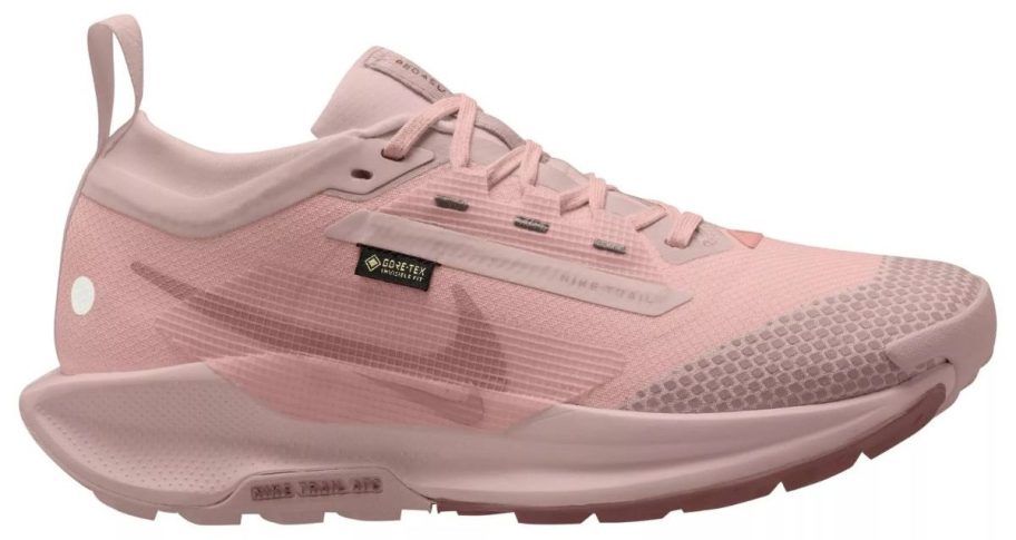 pink Nike Women's Pegasus Trail 5 GORE-TEX Running Shoe