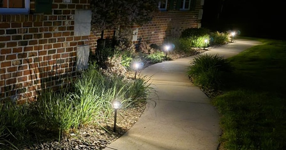 solar lights along a concrete walkway in front of a house