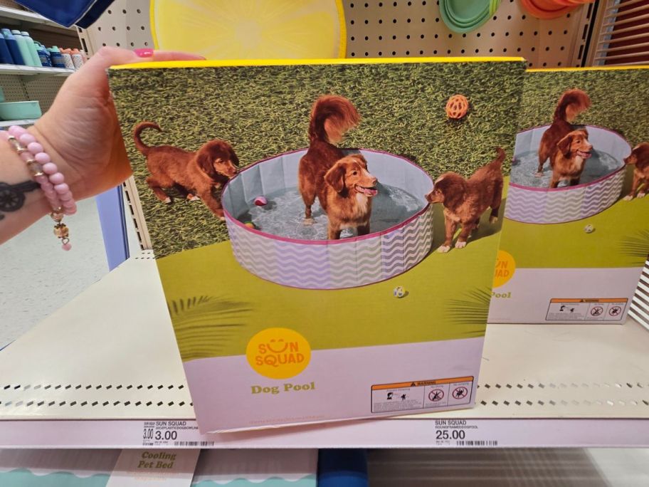 Sun Squad Round Framed Dog Pool box on shelf in store
