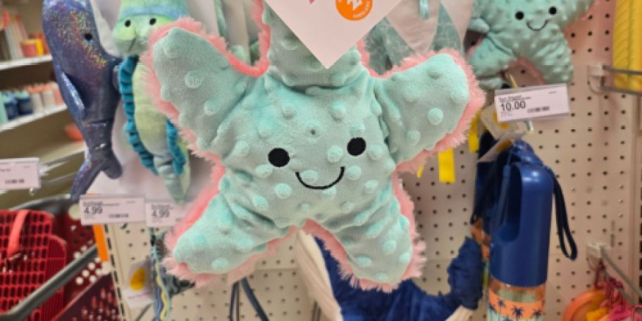 Target Sun Squad Pet Toys & Accessories from $3