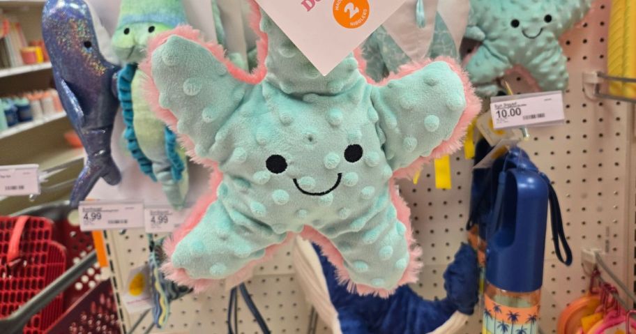 Sun Squad Starfish Plush Dog Toy hanging in store