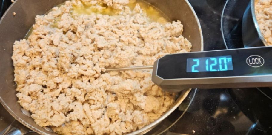 Digital Meat Thermometer Only $4.74 on Amazon – Immediate Results!