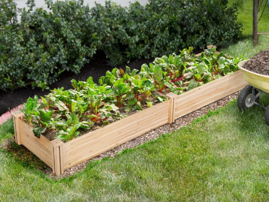 wood planter with plants 