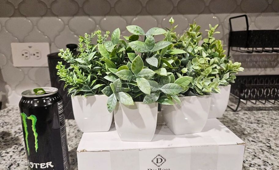 faux plant four pack next to an energy drink can for scale