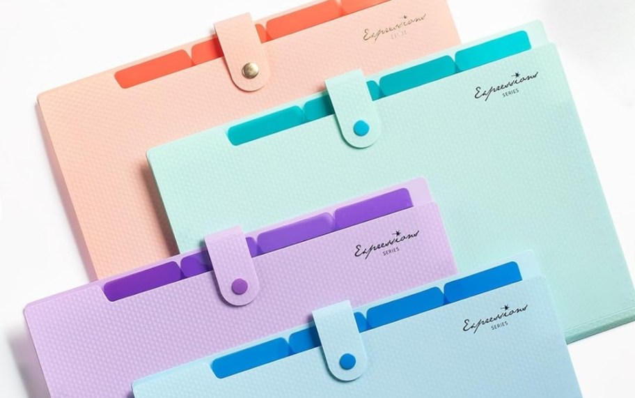 accordian file folders in assorted colors