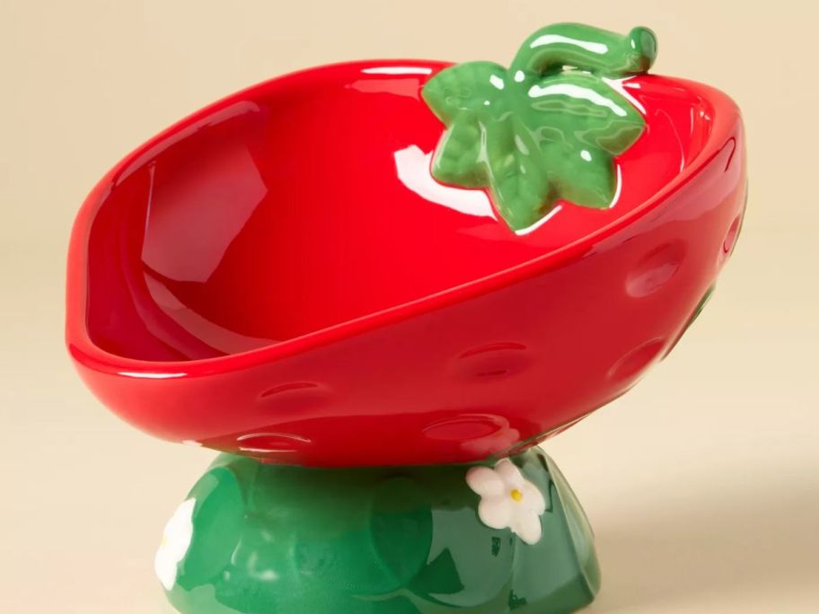 strawberry pet bowl 