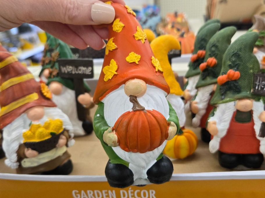 Hand holding a cute fall garden gnome with a pumpkin at Dolar Tree