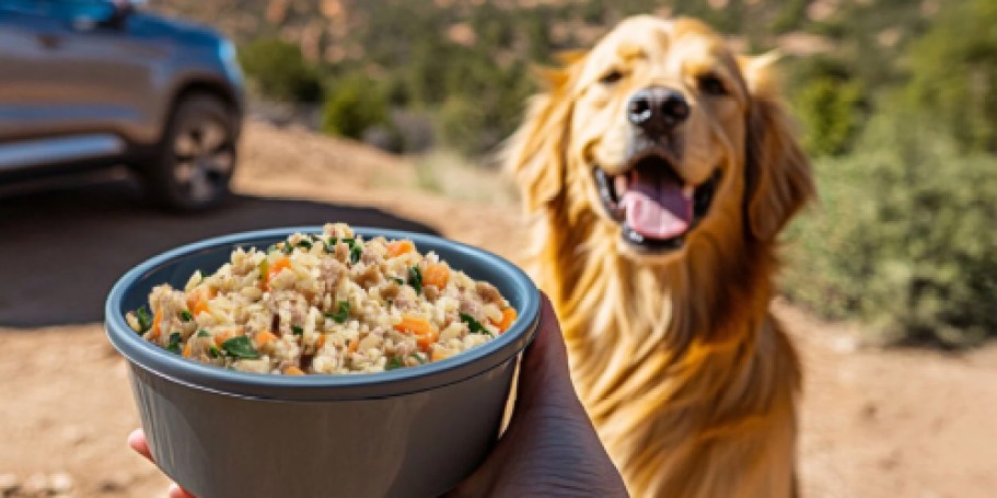 FREE JustFoodForDogs Dog Food Tasting at Petco Today!