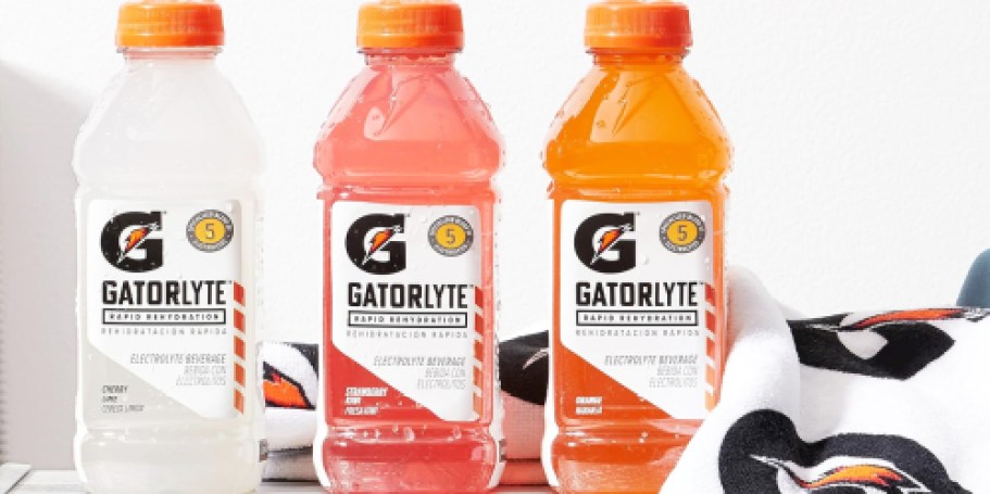 Gatorlyte 12-Count Variety Pack Just $17.48 Shipped on Amazon (Regularly $33)
