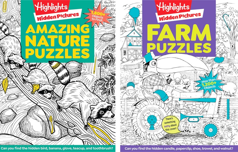 covers of two Highlights Hidden Pictures books