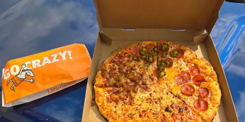 New Little Caesars Large Fantastic 4 Pizza & Breadsticks Just $9.99