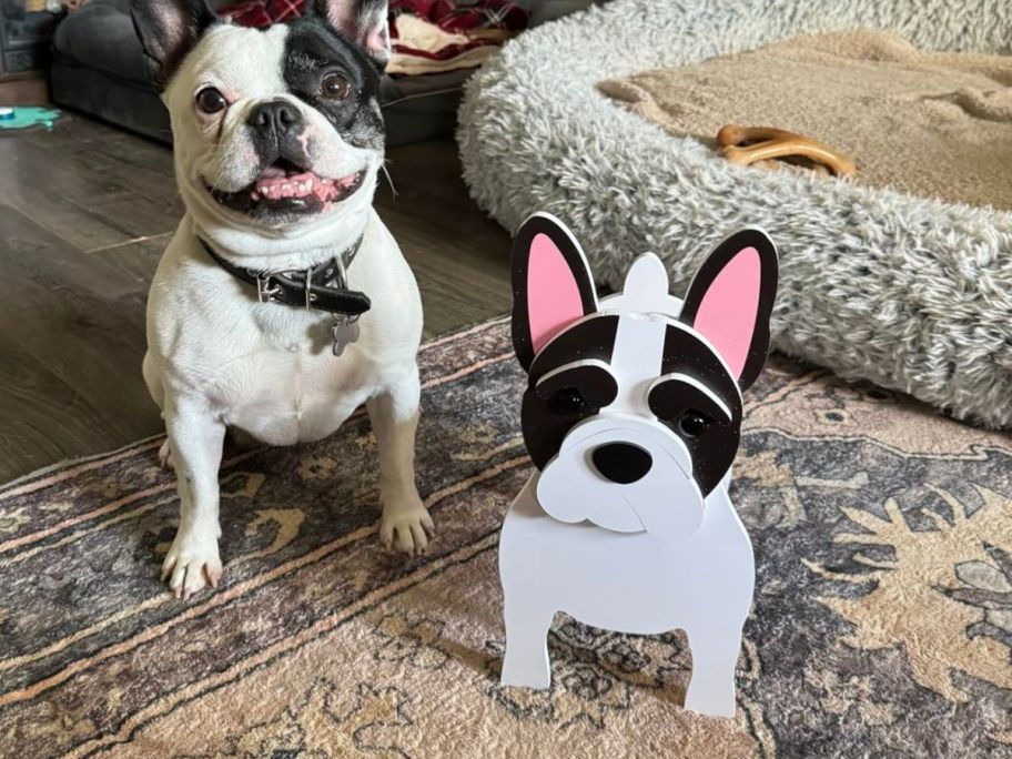 A dog next to a dog-shaped planter