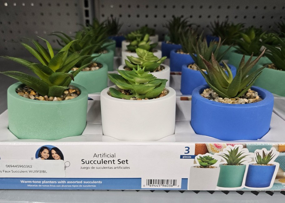 Mainstays by Becky G. & Alejandra 5.5in Artificial Succulent Plants