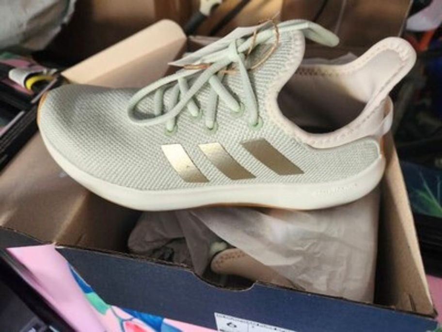 A pair of green and gold sneakers in a box