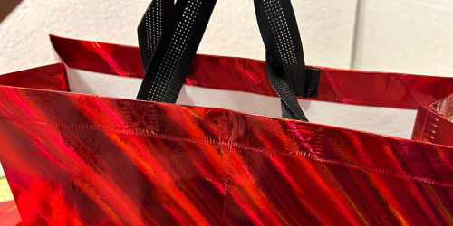 Iridescent Gift Bags 16-Pack Only $7.99 on Amazon (Just 50¢ Each)
