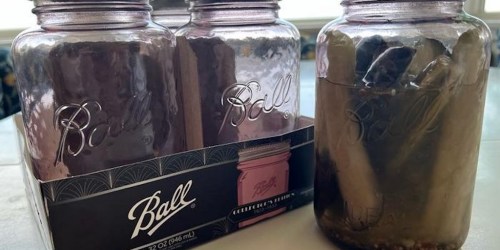 Ball Rose Vintage Mason Jars 32oz 4-Pack Only $14.99 on Target.com