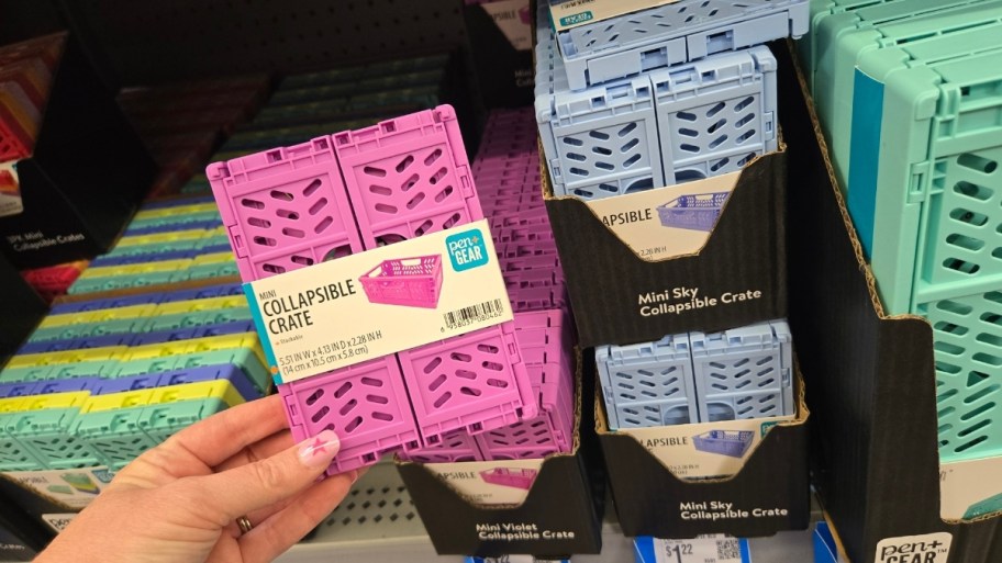 a womans hand holding a mini plastic collapsible crate