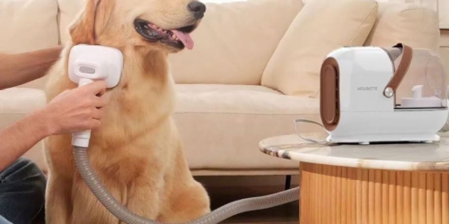 Dog Grooming Vacuum Kit Only $36.99 Shipped on Amazon (Reg. $100)