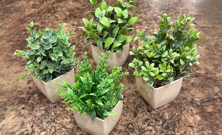 four mini faux plants on a kitchen countertop