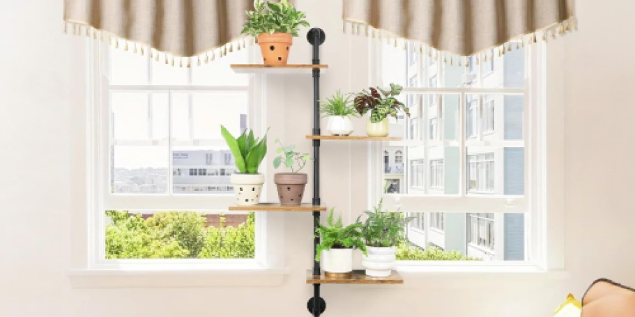 This Space-Saving Plant Shelf is Just $13.99 on Amazon (Reg. $40)