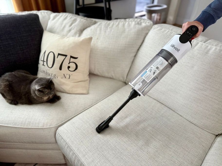 person using Levoit Cordless Vacuum Cleaner on couch next to cat