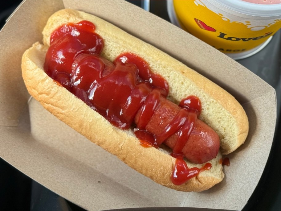 hot dog with ketchup
