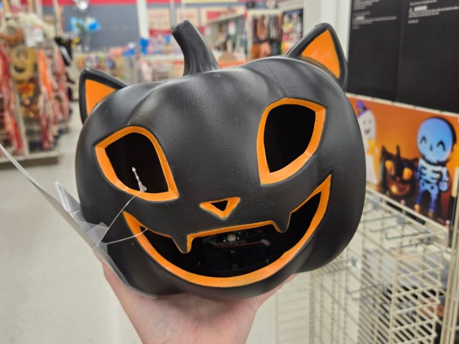 Lighted Cat Pumpkin in hand in store