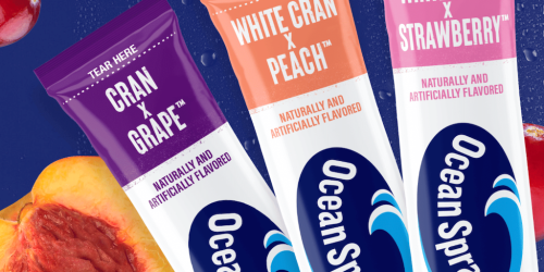 FREE Ocean Spray On-The-Go Powdered Drink Mix 10-Pack After Cash Back at Walmart