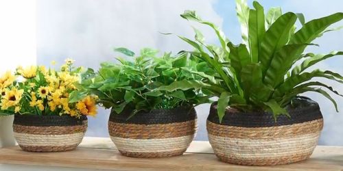 Seagrass Planter Baskets 3-Pack Only $14.99 on Amazon (Reg. $30)