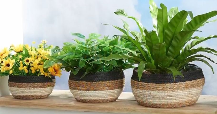 three seagrass planters with plants in them on table