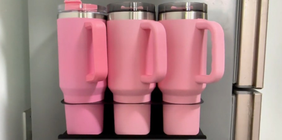 Magnetic Water Bottle Organizer 2-Pack Only $9.99 on Amazon (Holds 6 Stanley Tumblers!)