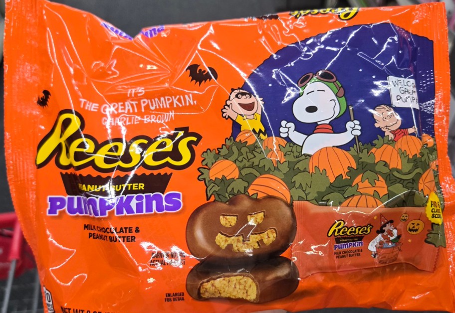 reeses pumpkin candy bag