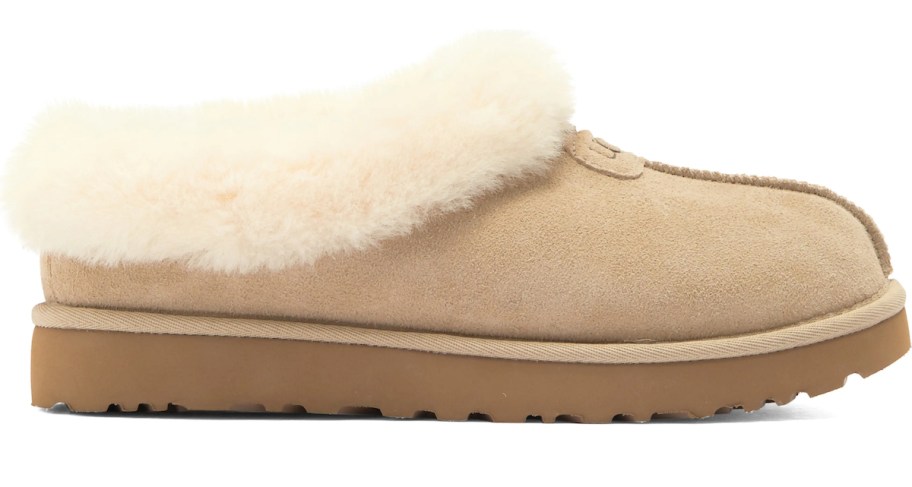 light tan ugg tazzette slippers stock photo