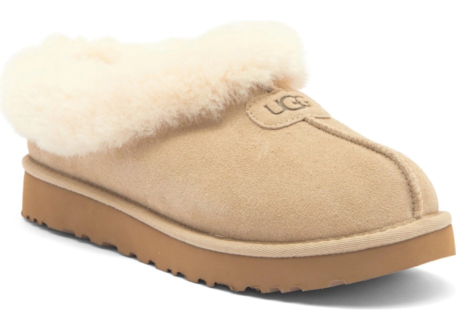 stock photo of ugg clog