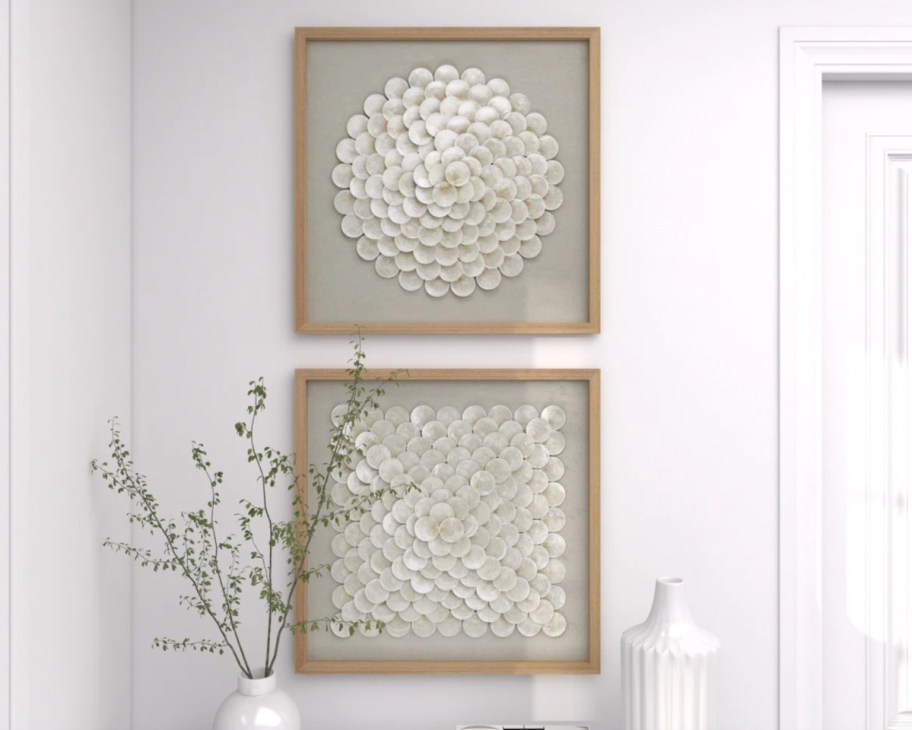 overlapping shell artwork in two frames