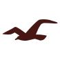 Hollister logo 